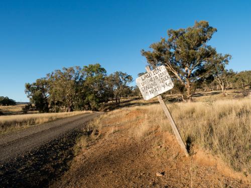 Stock sign on an unfenced country dirt road - Australian Stock Image