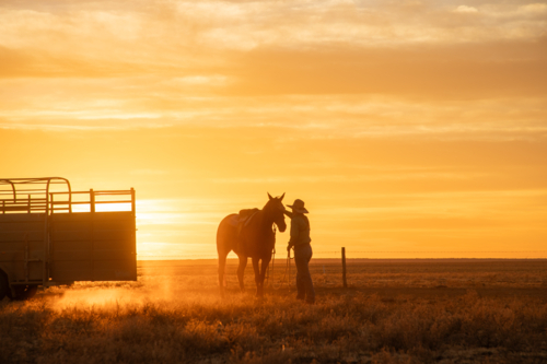 Stock woman patting her horse's head at sunrise - Australian Stock Image