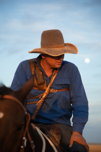 Stockman on horseback - Australian Stock Image