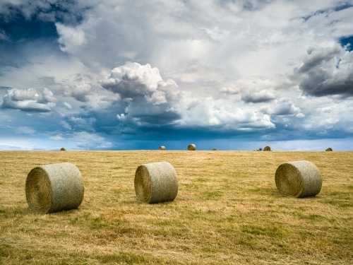 Storm clouds developing over round hay bales on farmland