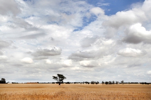 Storm clouds over paddock - Australian Stock Image