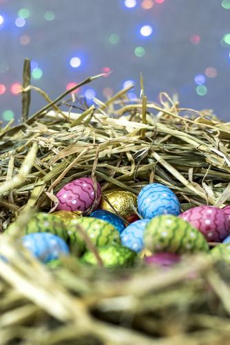 Straw nest filled with colourful easter eggs with coloured lights in background