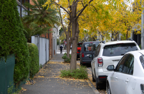 Street tree autumn colours - Australian Stock Image