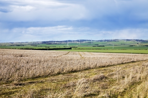 Stubble paddock with wind towers in the background - Australian Stock Image