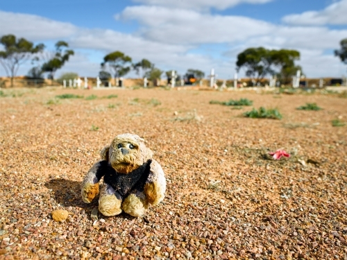 Stuffed toy at Coober Pedy cemetery
