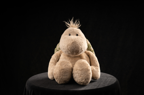 Stuffed turtle sitting upright on a black surface with black background - Australian Stock Image