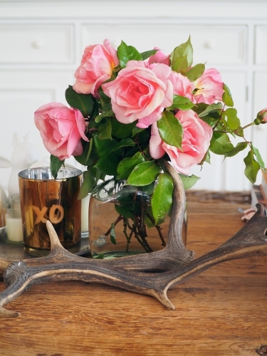 Styled coffee table with flowers, candle and antlers - Australian Stock Image