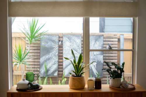 stylized buffet table top overlooking decors and plants against a timber fence - Australian Stock Image