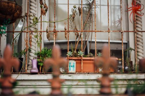 Succulents and objects outside terrace window