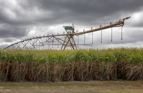 Sugar Cane Irrigation