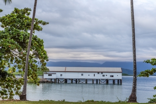 Sugar loading wharf between palm trees on coastal water - Australian Stock Image