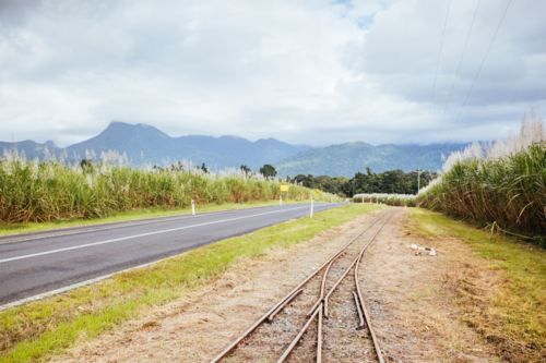 Sugarcane fields and railway tracks near the Daintree in rural Queensland, Australia - Australian Stock Image