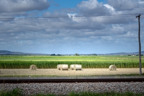 Sugarcane Fields outside of Mackay - Australian Stock Image