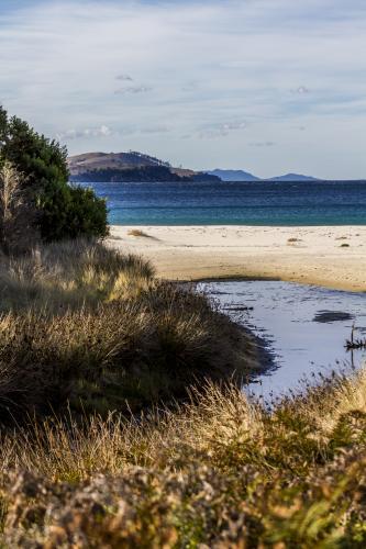 Summer coastline, Orford. - Australian Stock Image