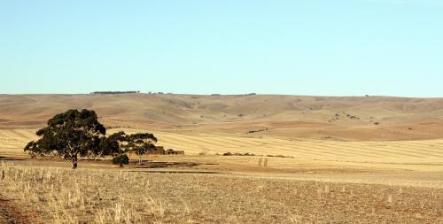Summer in the Mid North/ Mount Lofty Ranges - Australian Stock Image