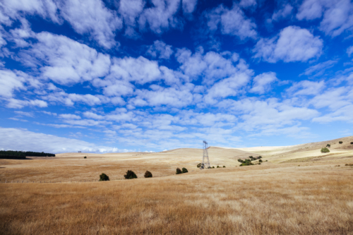 Summer time landscape in the Central Plateau Conservation Area near Ouse in Tasmania, Australia - Australian Stock Image