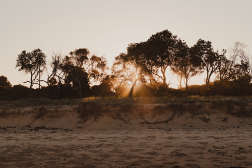 Sun beams passing through the trees above sand dunes creating silhouettes - Australian Stock Image