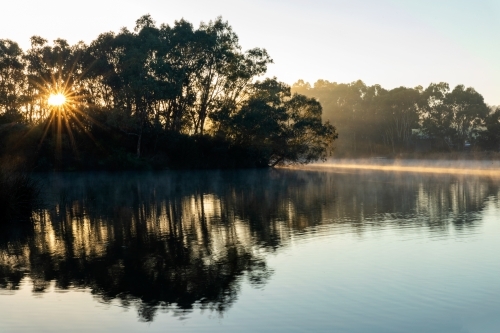 sun burst through gum trees in wetlands - Australian Stock Image