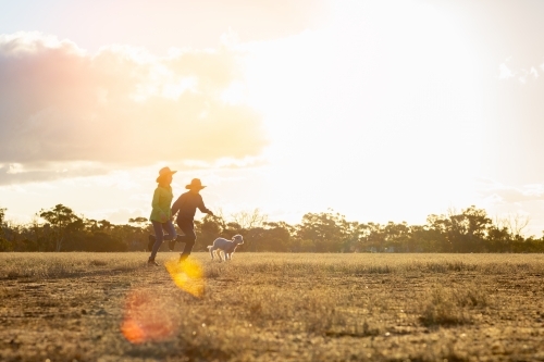 sun flare on farm kids and lamb in paddock - Australian Stock Image