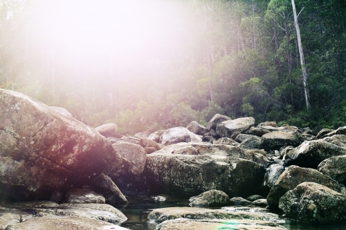 Sun flare over a rocky creek bed