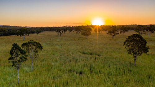 Sun rising over grassy field of the farmland - Australian Stock Image