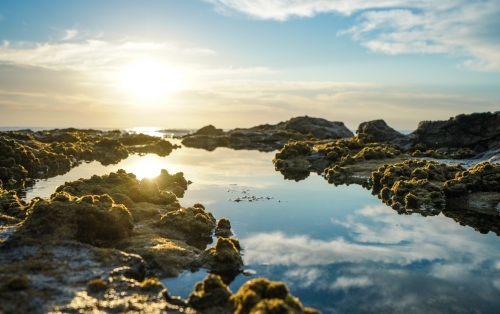 Sun rising over still water in rock pools - Australian Stock Image