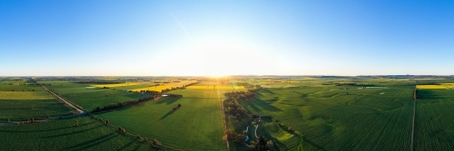 Sun sets over flowering grain crops in Spring - Australian Stock Image