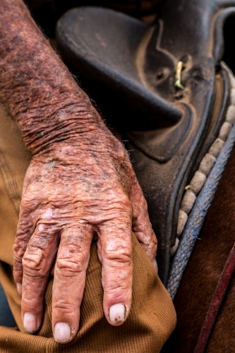 Sun weathered hand of 90 year old farmer.