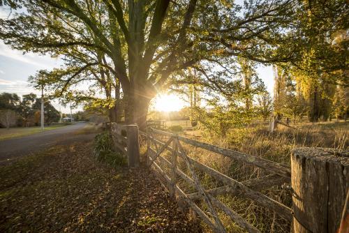 Sunburst over farm gate on autumn afternoon - landscape - Australian Stock Image