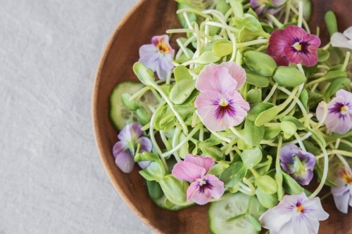 Sunflower sprouts, cucumber and edible flowers salad on wooden bowl - Australian Stock Image