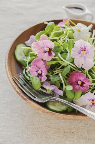 Sunflower sprouts, cucumber and edible flowers salad on wooden bowl - Australian Stock Image