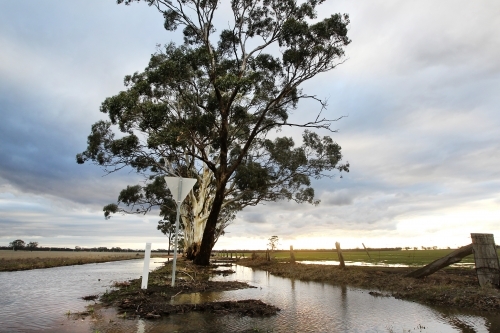 Sunlight on flooded paddocks and road - Australian Stock Image