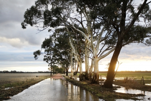 Sunlight on flooded paddocks and road