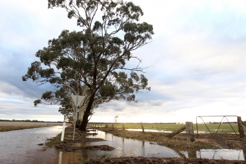 Sunlight on flooded paddocks and road - Australian Stock Image