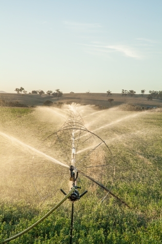 Sunlight shining through spray of water irrigating crops in farm paddock - Australian Stock Image