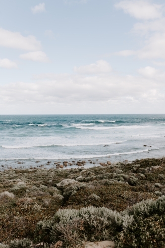 Sunny coast shot - Australian Stock Image