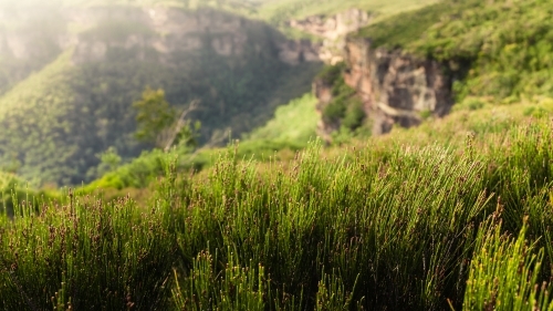 Sunny winters day in the Blue Mountains - Australian Stock Image