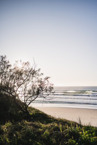 sunrise at pippi beach - Australian Stock Image