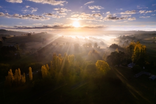 Sunrise beams streaking over the fog, trees and autumn poplar trees - Australian Stock Image
