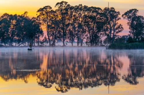 Sunrise behind gumtrees lining a riverbank with a light for rising off the water