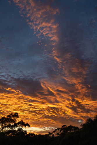 Sunrise on a cloudy day over forest - Australian Stock Image