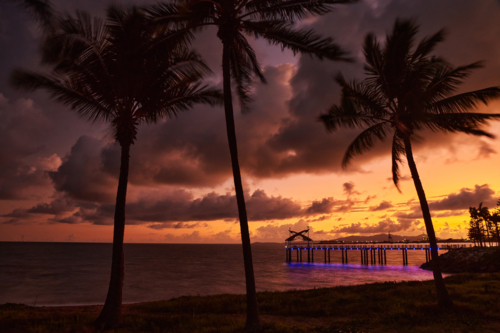 Sunrise on the Strand, Townsville with silhouetted palms - Australian Stock Image