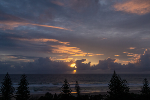 Sunrise over ocean with pine trees - Australian Stock Image