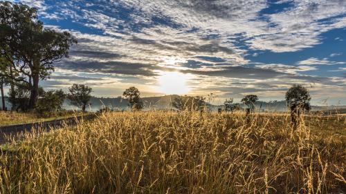 Sunrise over a rural landscape with soft morning light spreading across open fields. - Australian Stock Image