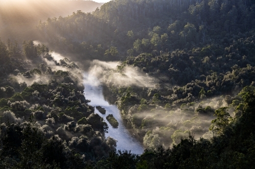 Sunrise view of Arthur River running through misty rain forest lit by rays of light from Lookout