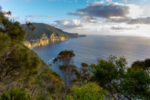 Sunrise view of cliffs on the Tasman Peninsula