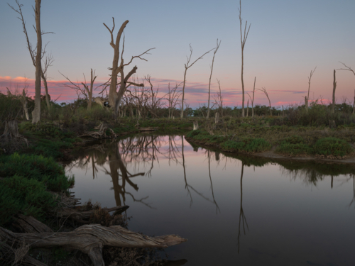 Sunset at Kings Billabong, Mildura - Australian Stock Image