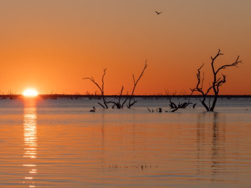Sunset at Lake Pamamaroo, part of the Menindee Lake system - Australian Stock Image