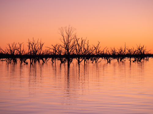 Sunset at Lake Pamamaroo, part of the Menindee Lake system - Australian Stock Image