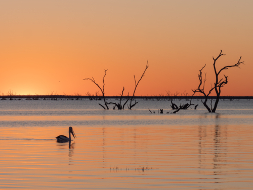 Sunset at Lake Pamamaroo, part of the Menindee Lakes system - Australian Stock Image
